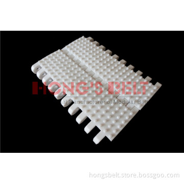 Modular Plastic Conveyor Belt (HS-100AN)